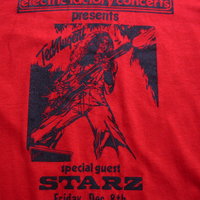 Vintage 70's rare Ted Nugent shirt Cincinnati Ohio concert band tee, size large