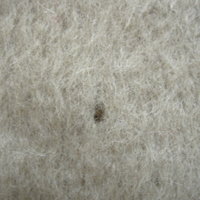 Vintage 60's pale yellow chartreuse Mohair turtleneck sweater, women's size small