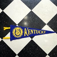 Large pennant banner