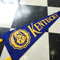 Large pennant banner