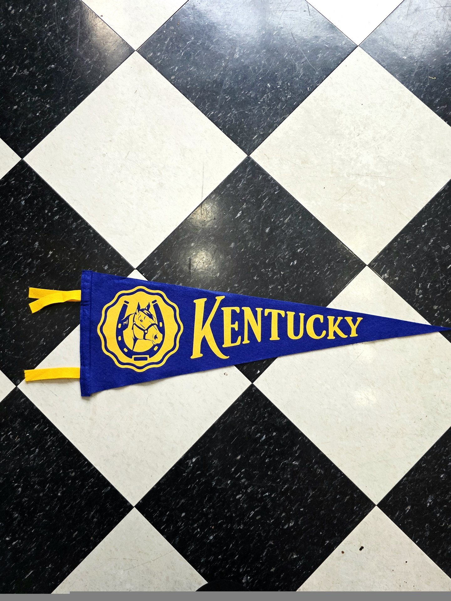 Large pennant banner